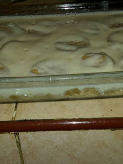 Una foto de Pay de limón con galletas maría