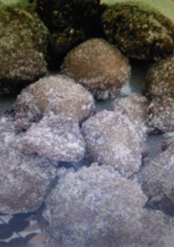 Una foto de Papuchas de Alcaudete