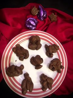 ચોકલેટ ડ્રાયફ્રૂટ ક્લસ્ટર (Chocolate Dry fruit Cluster recipe in Gujarati) રેસીપી મુખ્ય ફોટો