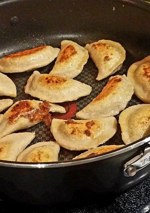A picture of Pork and ginger potstickers.