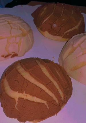 Una foto de Conchas