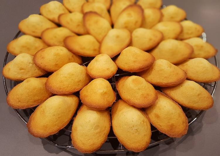 Les 11 Meilleures Recettes de Madeleines