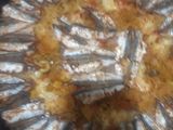 سمك لانشوبة معمر (شطون)