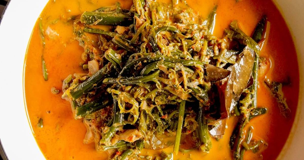 Resep Gulai Pakis Padang Oleh Na Cooking Cookpad