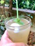 Te’ al limone con granita