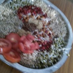 A picture of Spraout,s salad.