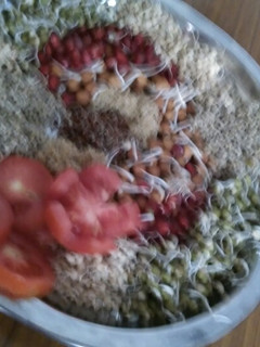 A picture of Spraout,s salad.