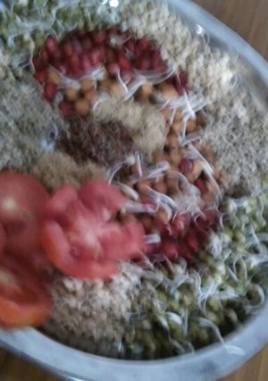A picture of Spraout,s salad.
