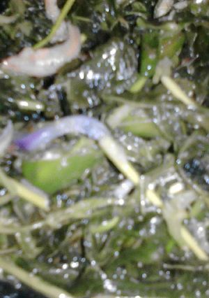 Foto resep Tumis daun singkong