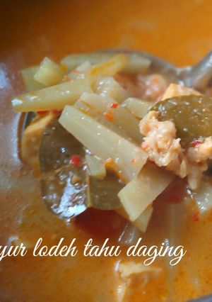 Foto resep Sayur Lodeh tahu& daging