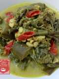 Gulai Pakis Terong dan Tempe