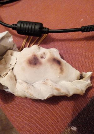 Una foto de Tapa de Empanada sin tacc