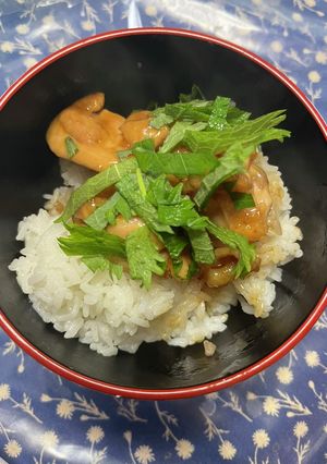A picture of Teriyaki Chicken Rice Bowl.