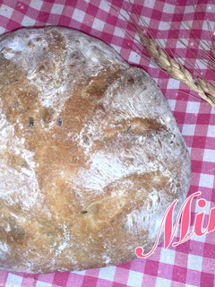عکسی از دستور نان فرانسوی