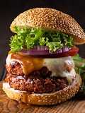 Vegan & Healthy Burger Patty