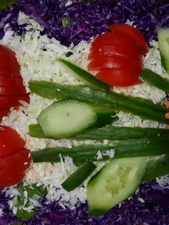 عکسی از دستور تزیین سالاد