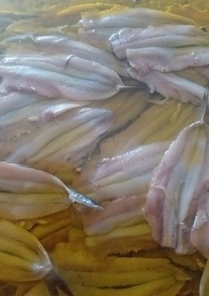 Φωτογραφία της συνταγής Γαύρος μαρινάτος