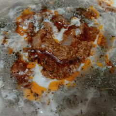 A picture of Aash آش🍝.