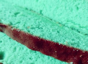 Foto resep Melon Jelly Cake (bolu nutrijel)