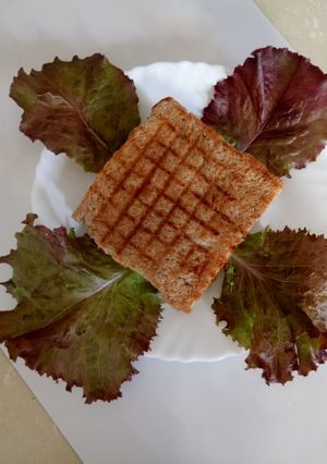 A picture of Cheese sandwich.