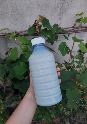 Foto resep Susu Jahe