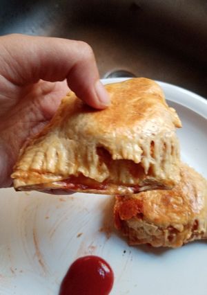 A picture of Frozen paratha kay chicken cheese patties.
