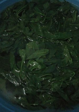 Foto resep Rebus daun singkong