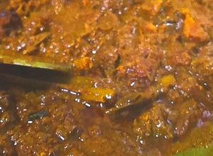 Gambar Rendang Kerbau Lado Mudo Minangkabau