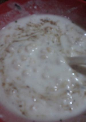A picture of Boondi Raiyta.