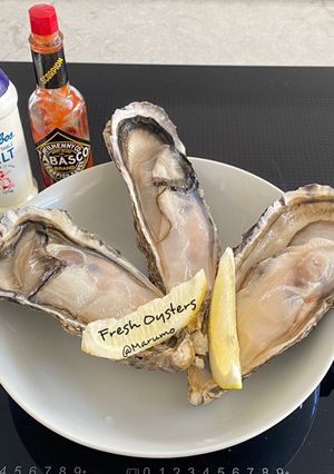 A picture of Fresh Oysters.