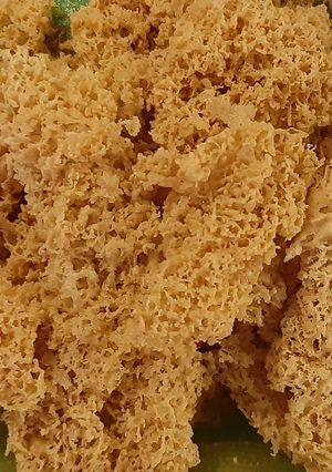 Foto resep Kremesan anti gagal