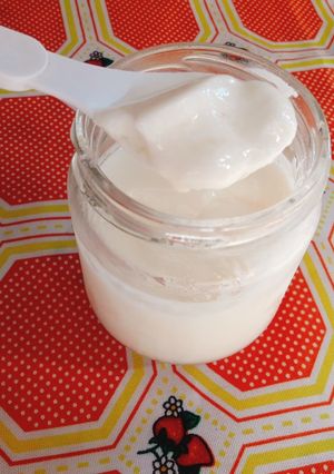Una foto de Yogurt light en yogurtera