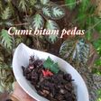 Cumi hitam pedas