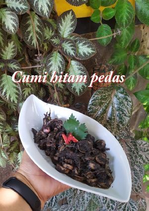Foto resep Cumi hitam pedas