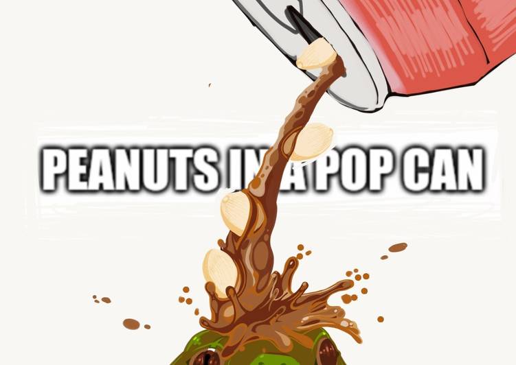 Peanuts in a Popcan