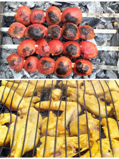 عکسی از دستور جوجه کباب جنوبی