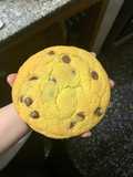 Crumbl Cookies
