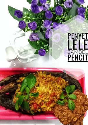Foto resep Penyet Lele Sambel Pencit Rumahan maknyus