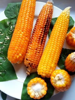 A picture of Cooked Corn (Maize).