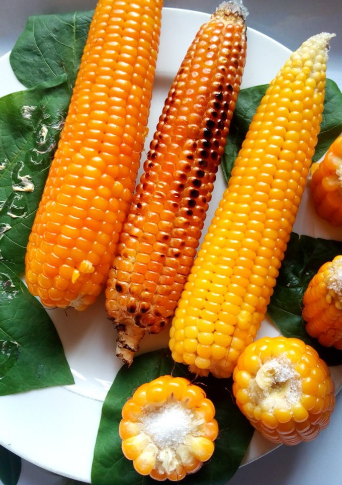A picture of Cooked Corn (Maize).
