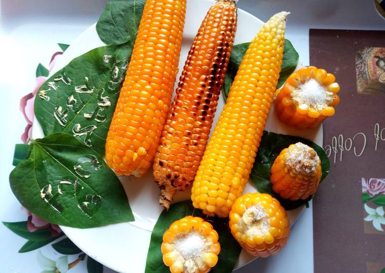 Cooked Corn (Maize)