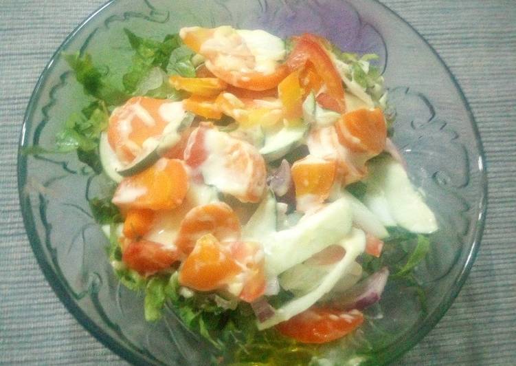 Simple Way to Make Homemade Vegetable salad