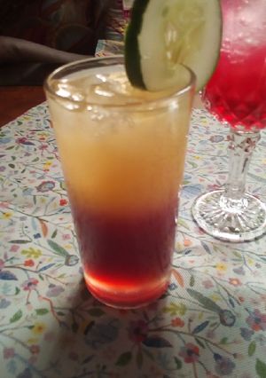 A picture of Hibiscus and orange mocktail.