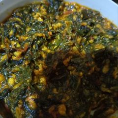 A picture of Palak with homemade paneer.