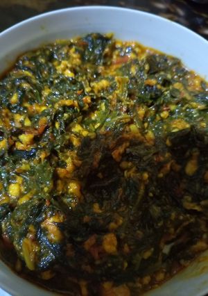 A picture of Palak with homemade paneer.