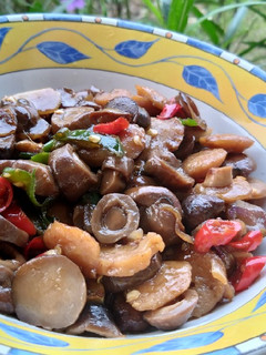 Foto resep Tumis jamur merang baso