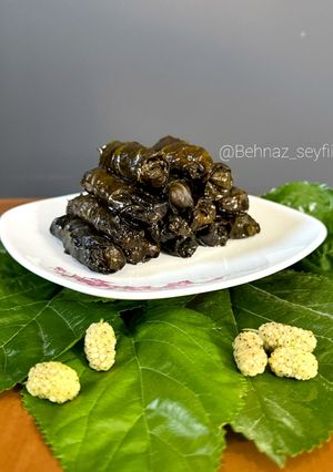 عکسی از دستور دلمه برگ توت