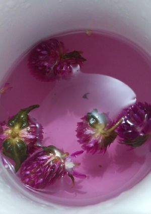 Foto resep Globe amaranth flower tea