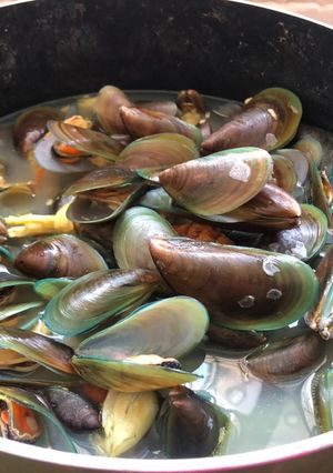 Foto resep Kerang hijau rebus