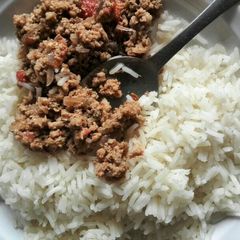 A picture of Minced meat served with plain rice.